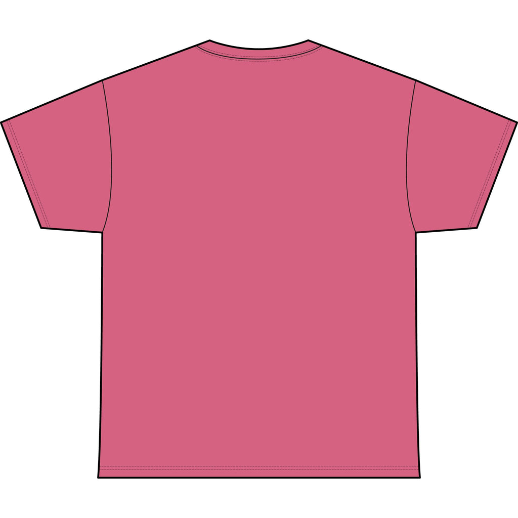 SL Alumni Tee 2.0